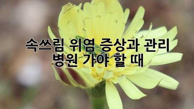 🥺 속쓰림? 위염 증상과 관리, 병원 가야 할 때! 🏥
