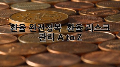 환율 완전정복 💸 환율 리스크 관리 A to Z