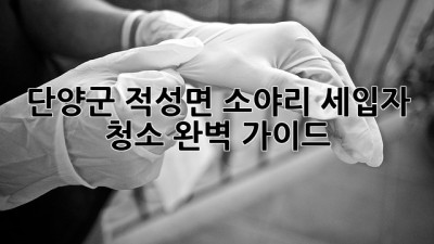 단양군 적성면 소야리 세입자 청소: 완벽 가이드